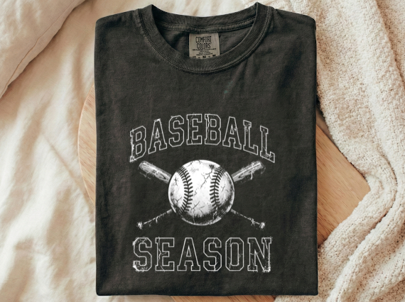 Baseball season